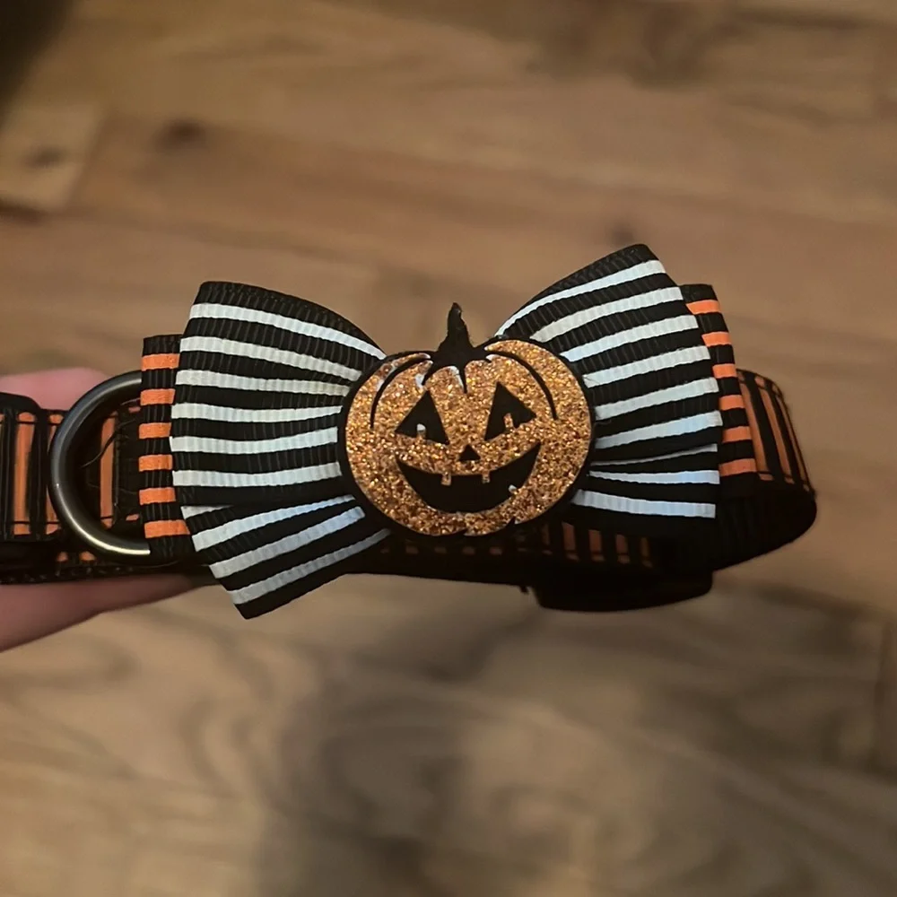 Halloween Dog Collar Size Small